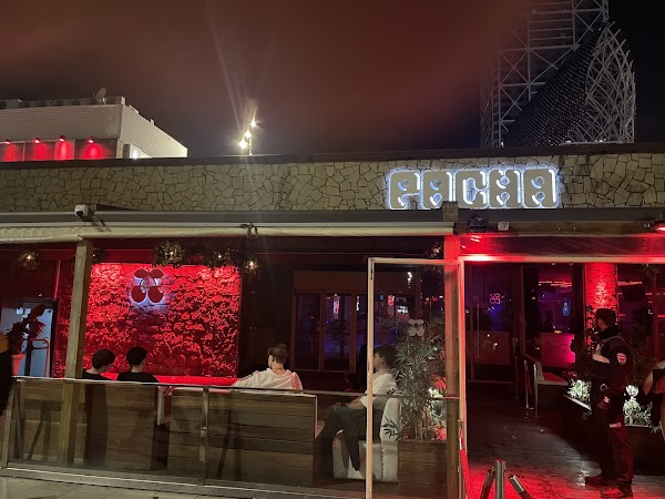 Pacha Barcelona 3