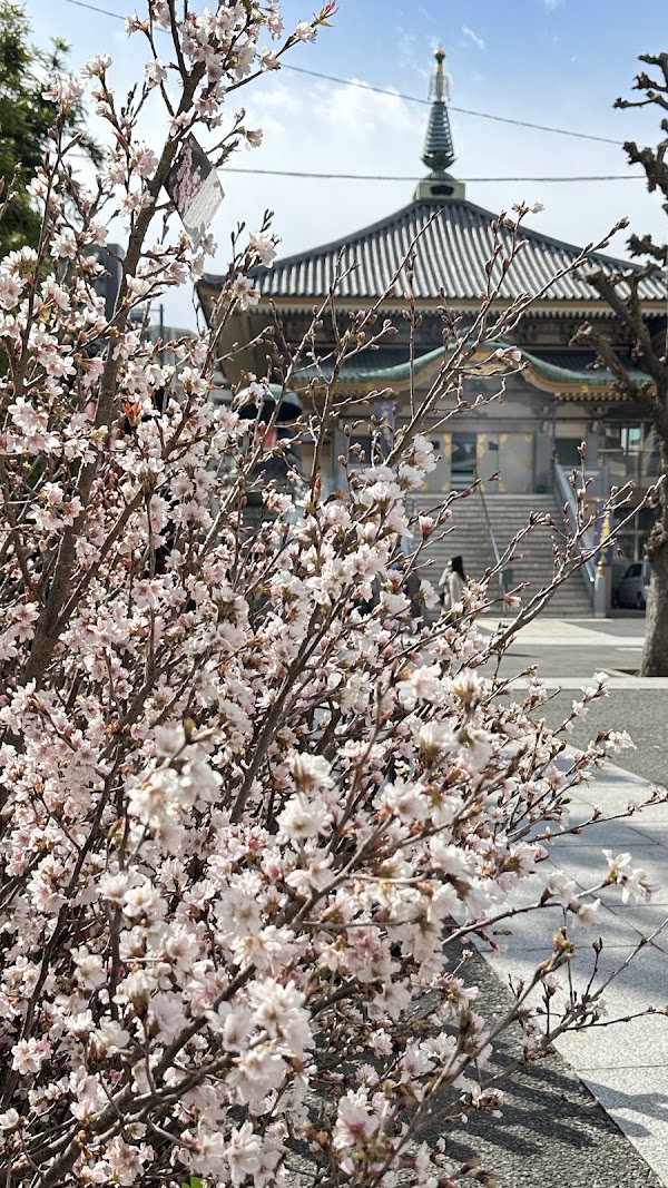 Shinshōji Temple 3