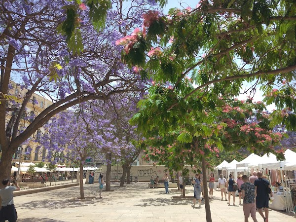 Plaza de la Merced 2