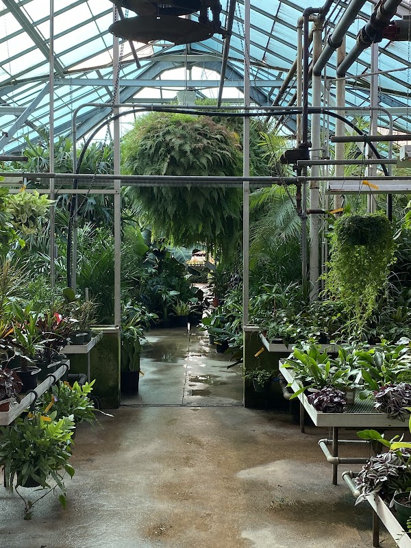 Ott's Exotic Plants 1