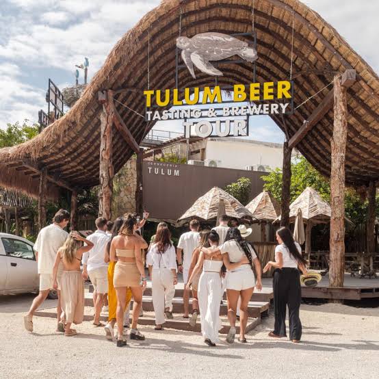 Cervecería Tulúm Tasting & Brewery Tour