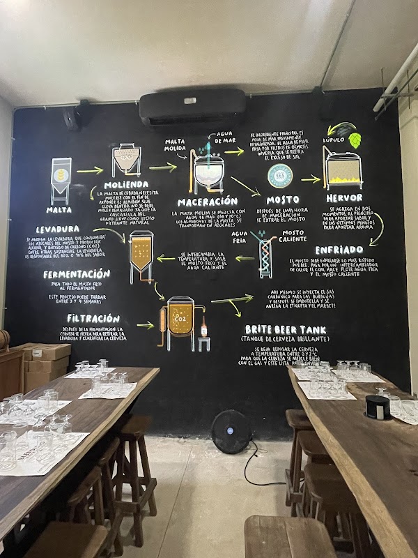 Cervecería Tulúm Tasting & Brewery Tour 5