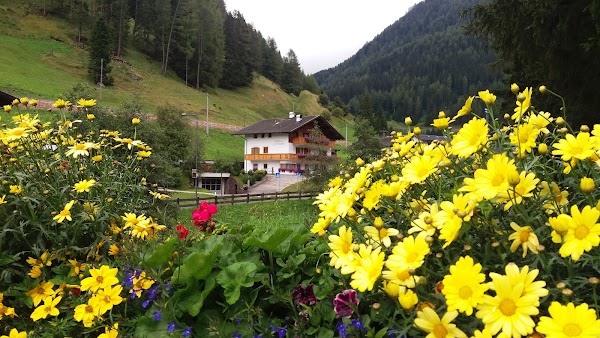 Selva di Val Gardena 5