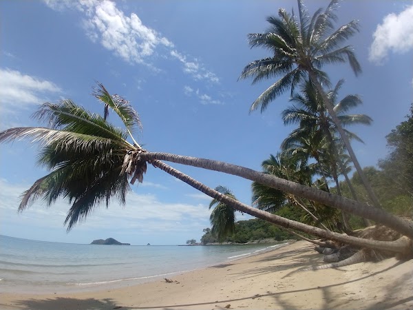 Ellis Beach