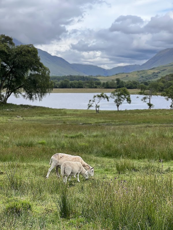 Kilchurn Castle Viewpoint and Layby 2