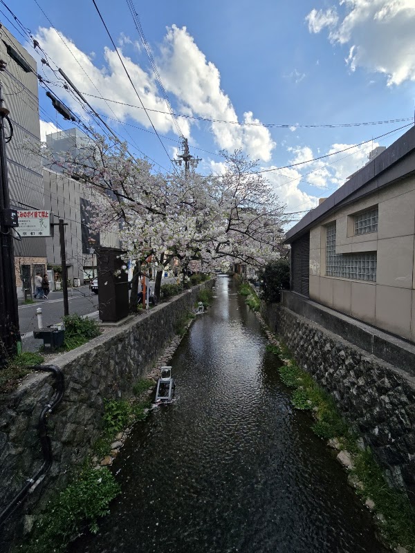 Takase River 4