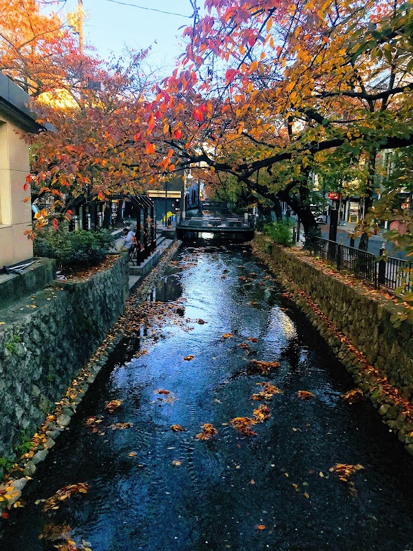 Takase River 3