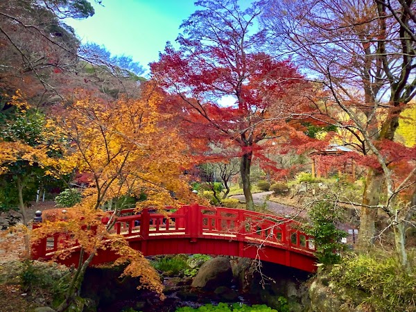 Atami Plum Garden 5