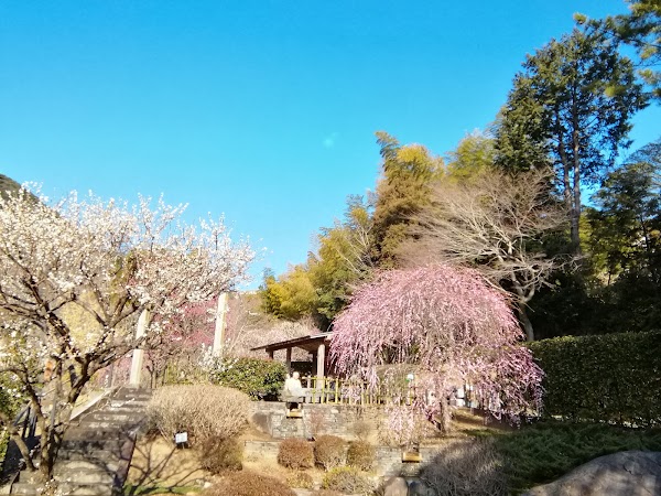Atami Plum Garden 4