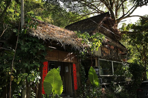 Rainforest Tree House