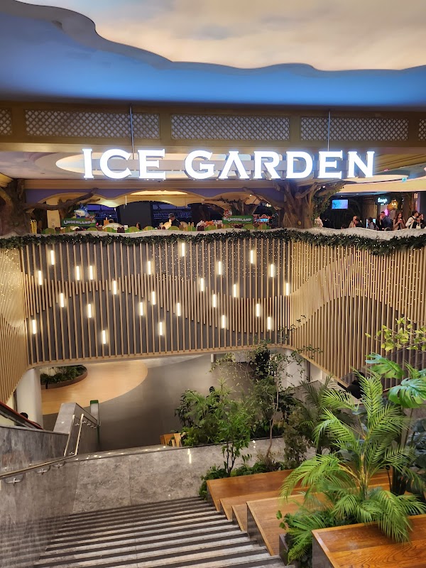 Lotte World Ice Rink 5