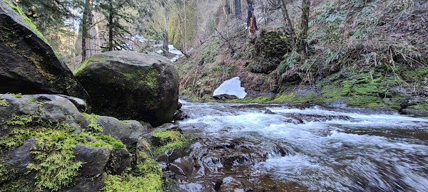 PNW 23