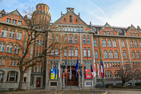 Hôtel de Ville de Lille 4