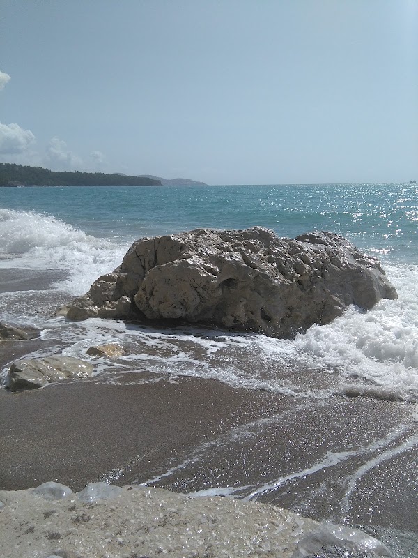 Sutomore
