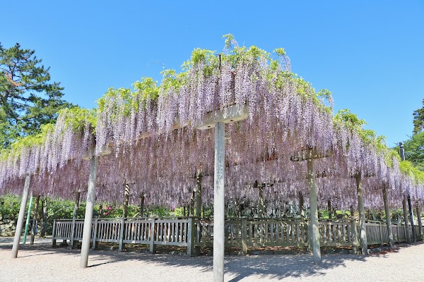 Matsusaka Castlesite Park 3