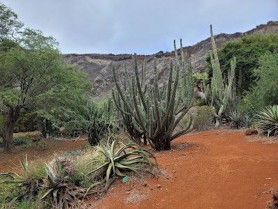 Koko Crater Botanical Garden