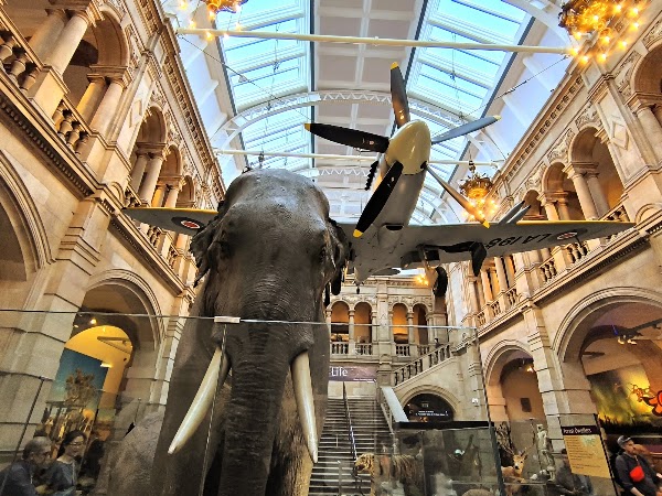 Kelvingrove Art Gallery and Museum 5