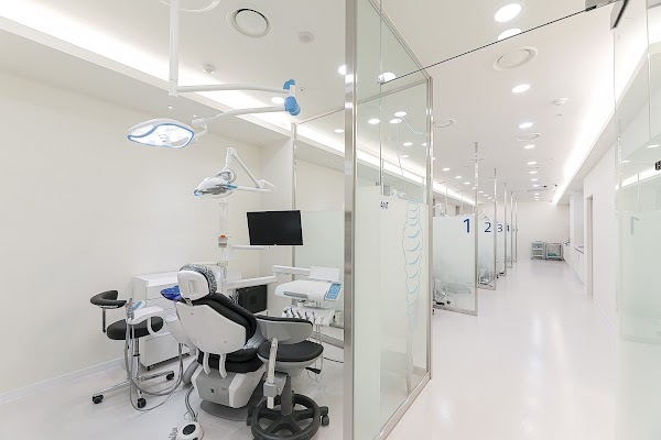 id dental clinic - English speaking dentist and interpreter available 3