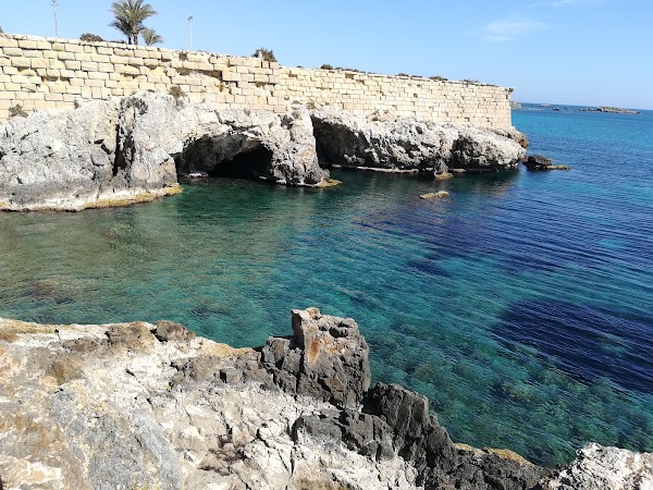 Tabarca 4