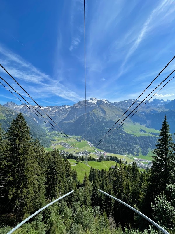 Sommerrodelbahn Brunni
