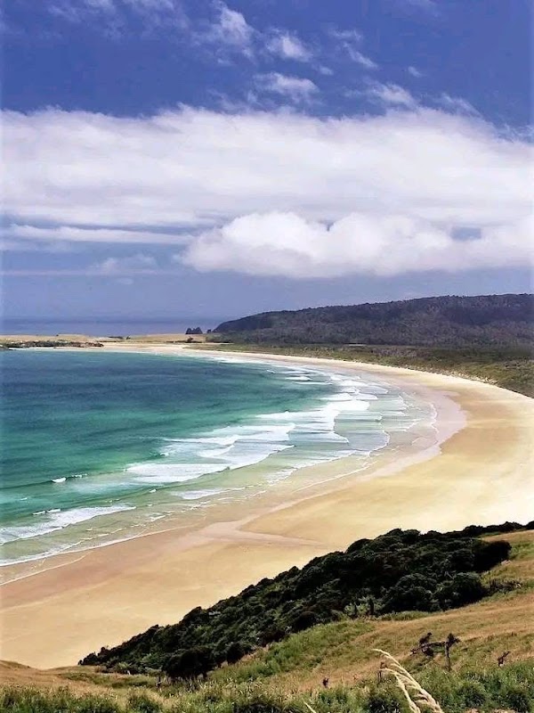 The Catlins 4