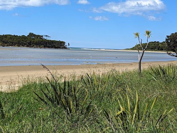 The Catlins 2