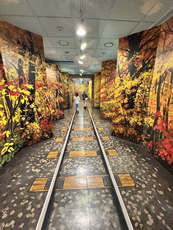 Dynamic Maze 4