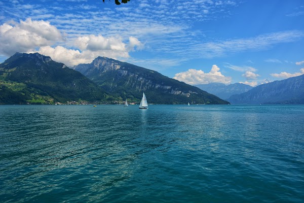 Lake Thun 3