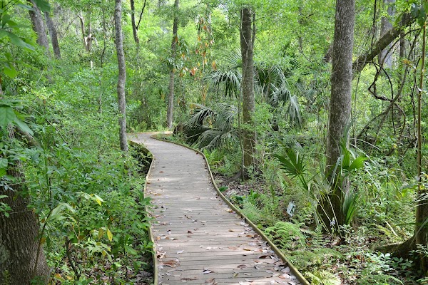 Jacksonville Arboretum & Botanical Gardens 5