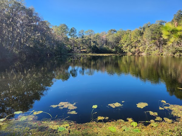 Jacksonville Arboretum & Botanical Gardens 4