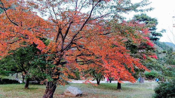 Seoraksan Sogongwon Park 3