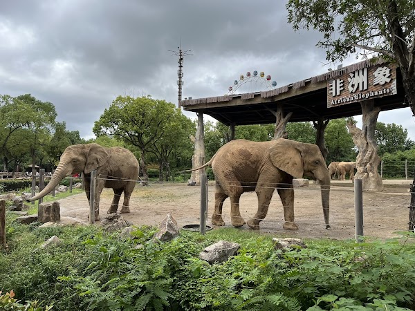 Shanghai Wild Animal Park 2
