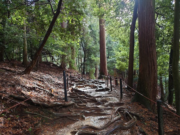 Mount Kurama 5