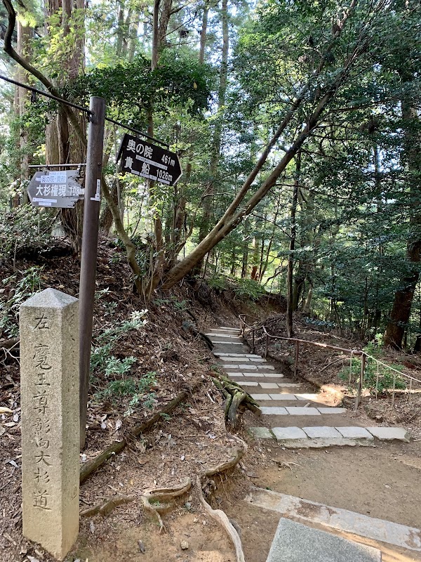Mount Kurama 3