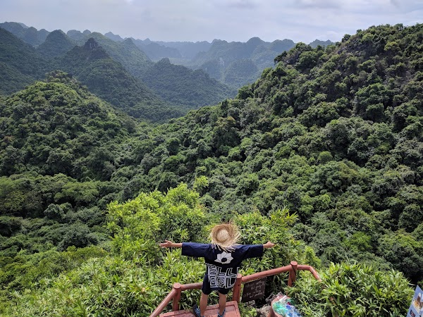 Đỉnh Ngự Lâm