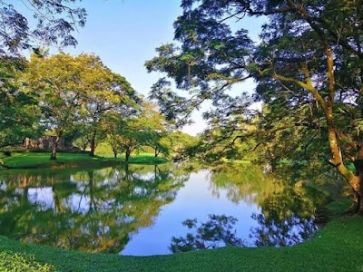 Taiping