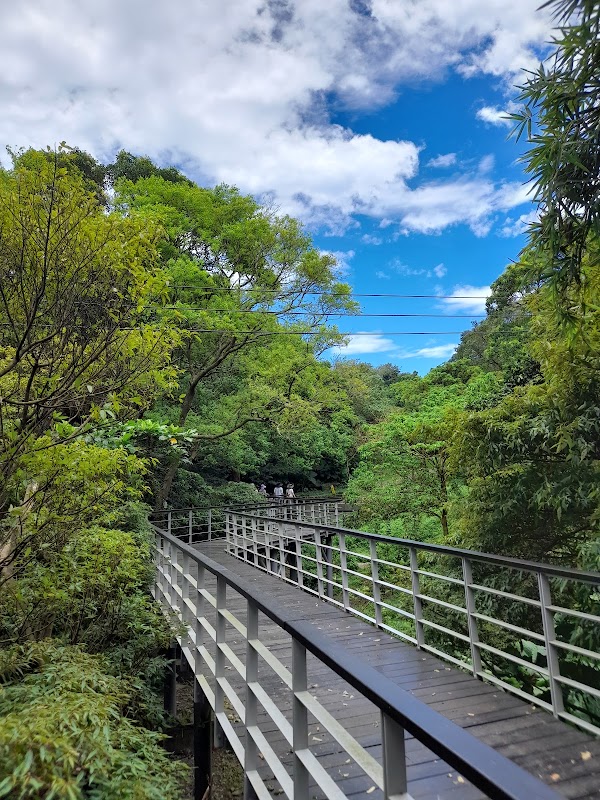 Treetop Walkway