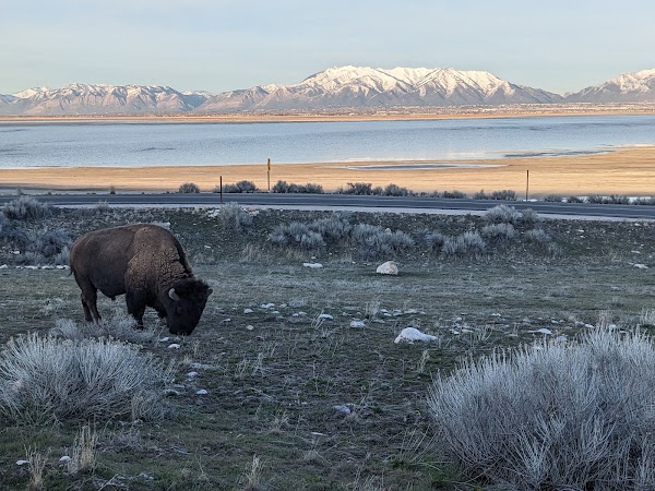 Antelope Island State Park 2