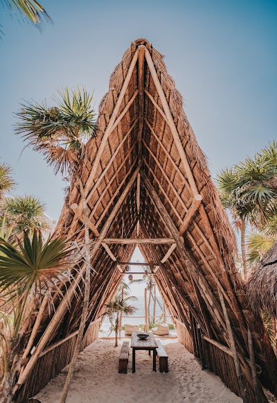 Papaya Playa Project 1