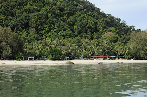 Monkey Beach 5