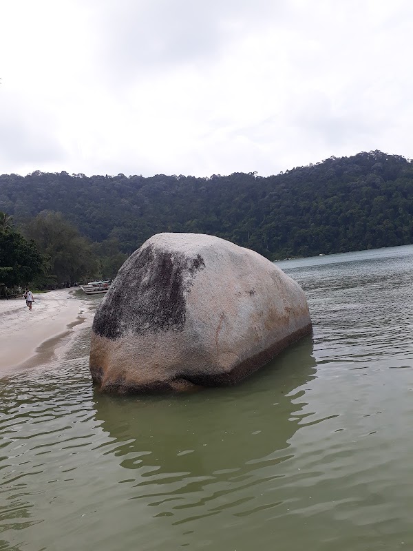 Monkey Beach 3