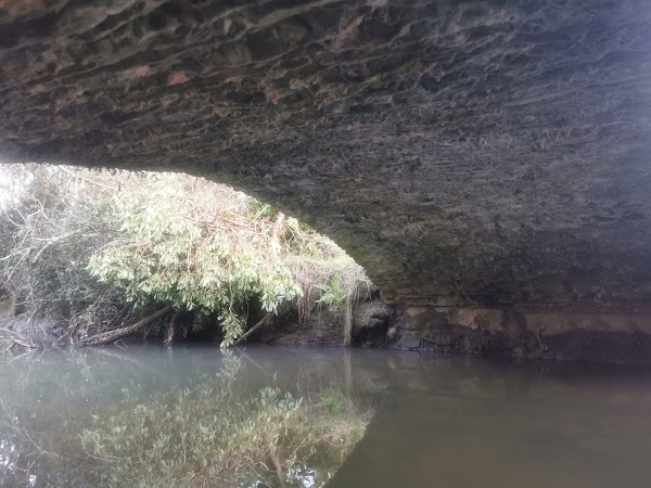Wales 38