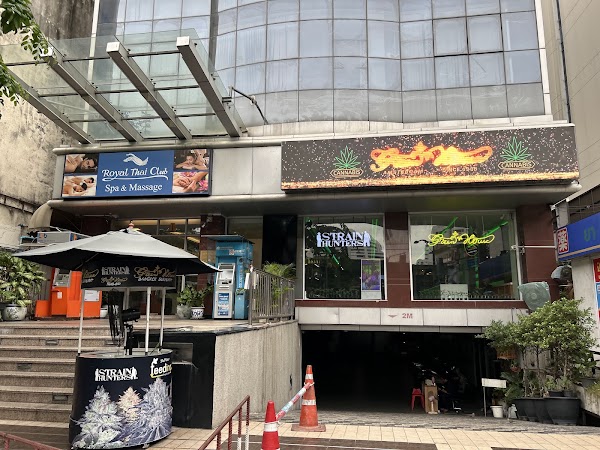 Bangkok cannabis