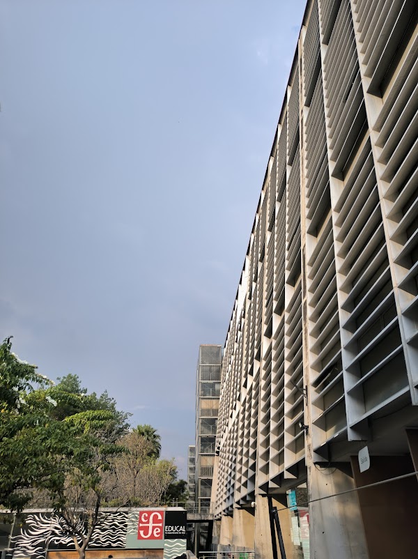 Biblioteca Vasconcelos 3