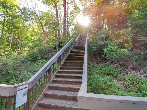 Glen Stewart Ravine 1