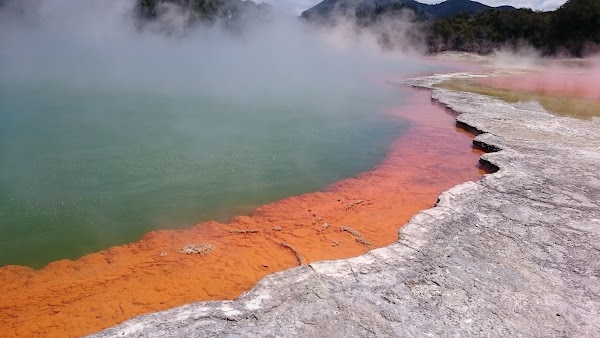 Geothermal Valley Te Puia 5