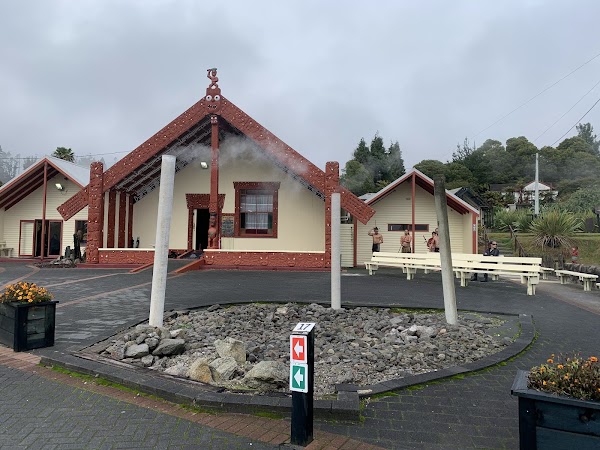 Geothermal Valley Te Puia 4