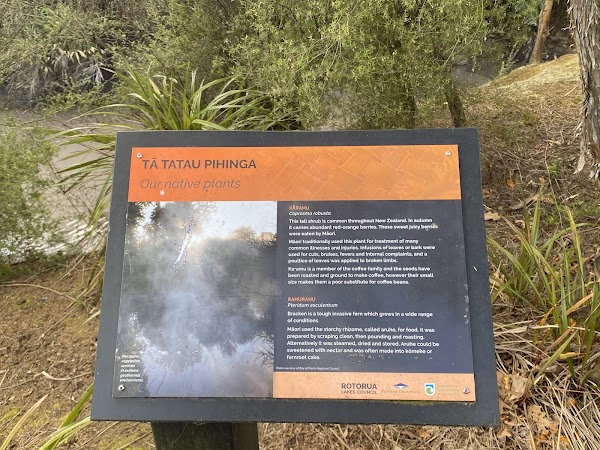 Geothermal Valley Te Puia 3
