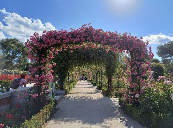 Rose Garden 5