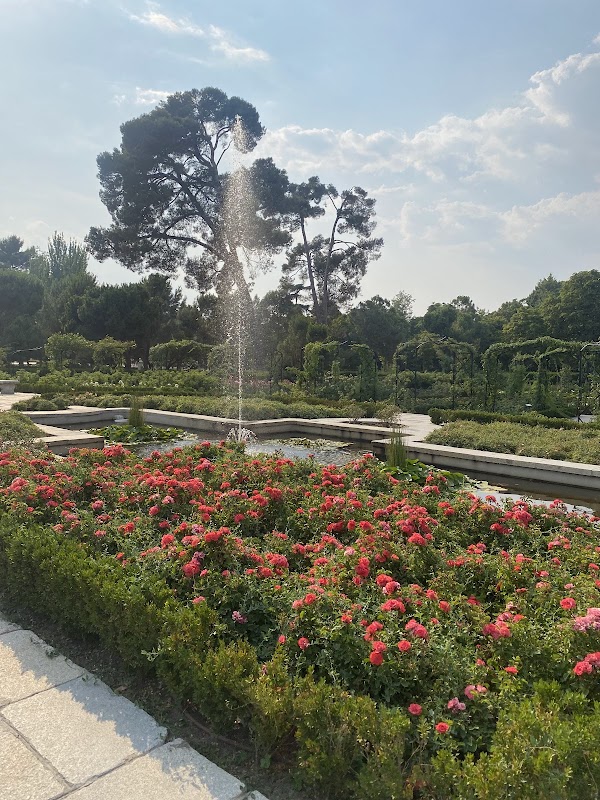 Rose Garden 2